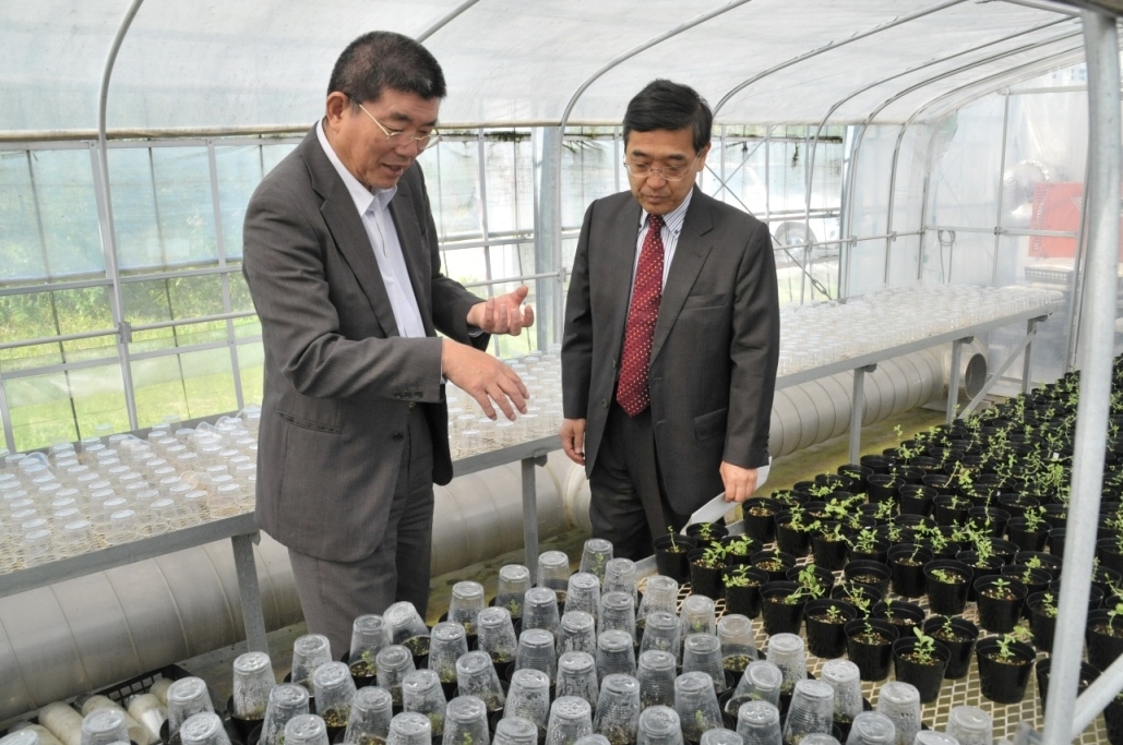 Visit to a green house in the center